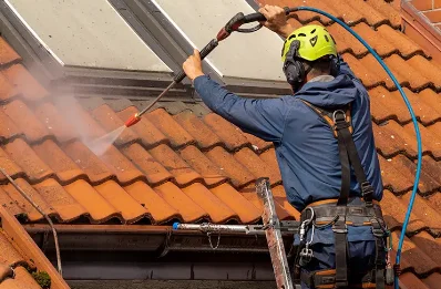 Démoussage et hydrofuge de toiture à Puysserampion